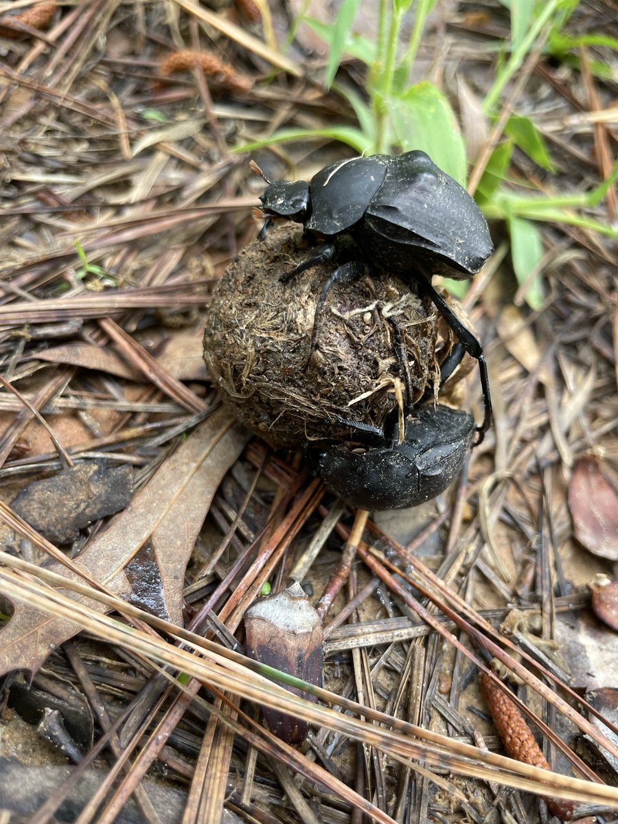 SamSamc97777's tweet image. Me rolling into 2026