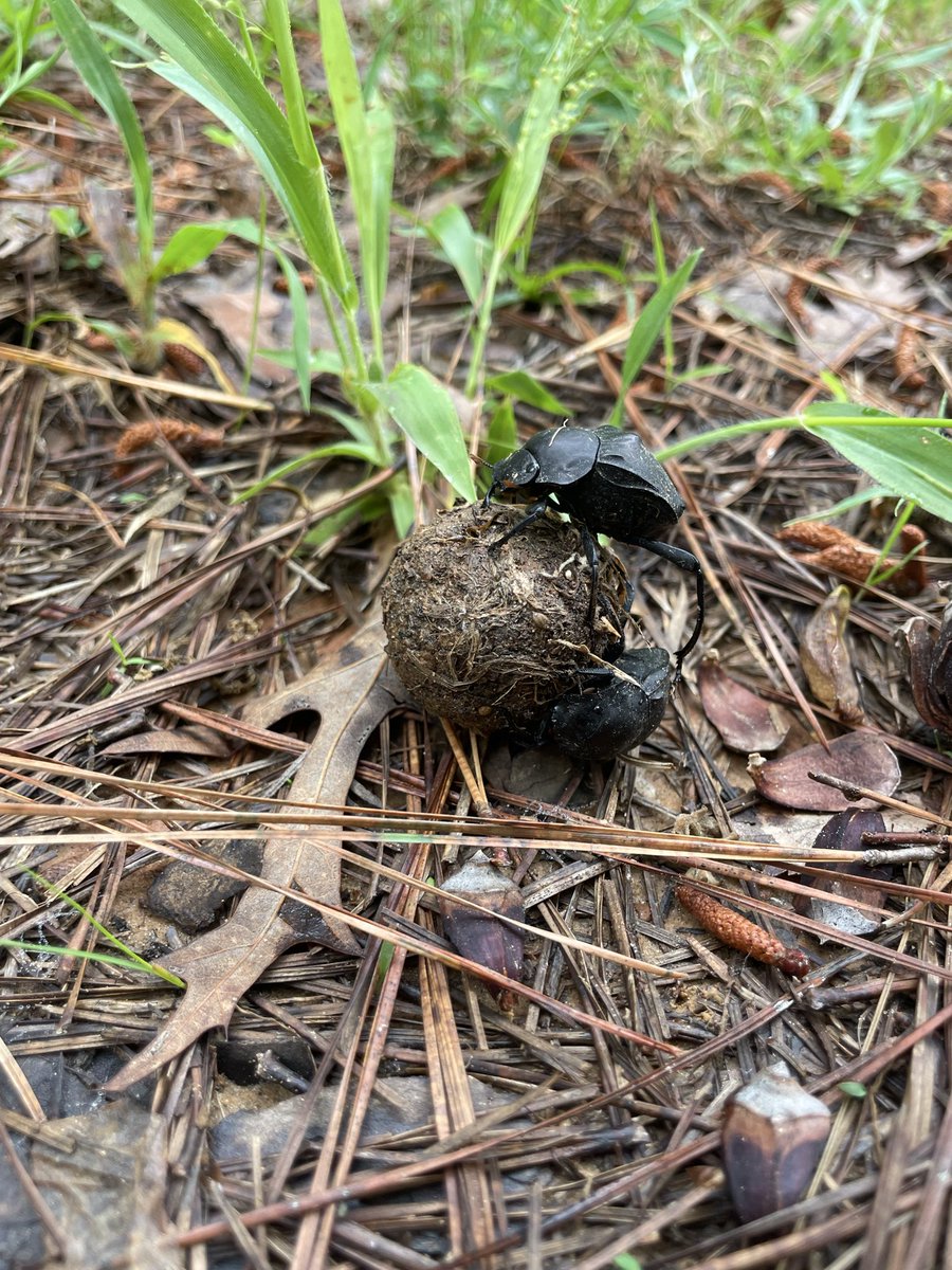 SamSamc97777's tweet image. Me rolling into 2026