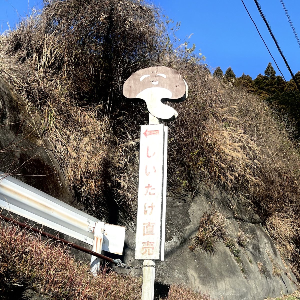 moaton's tweet image. （ ◜◡◝ ）