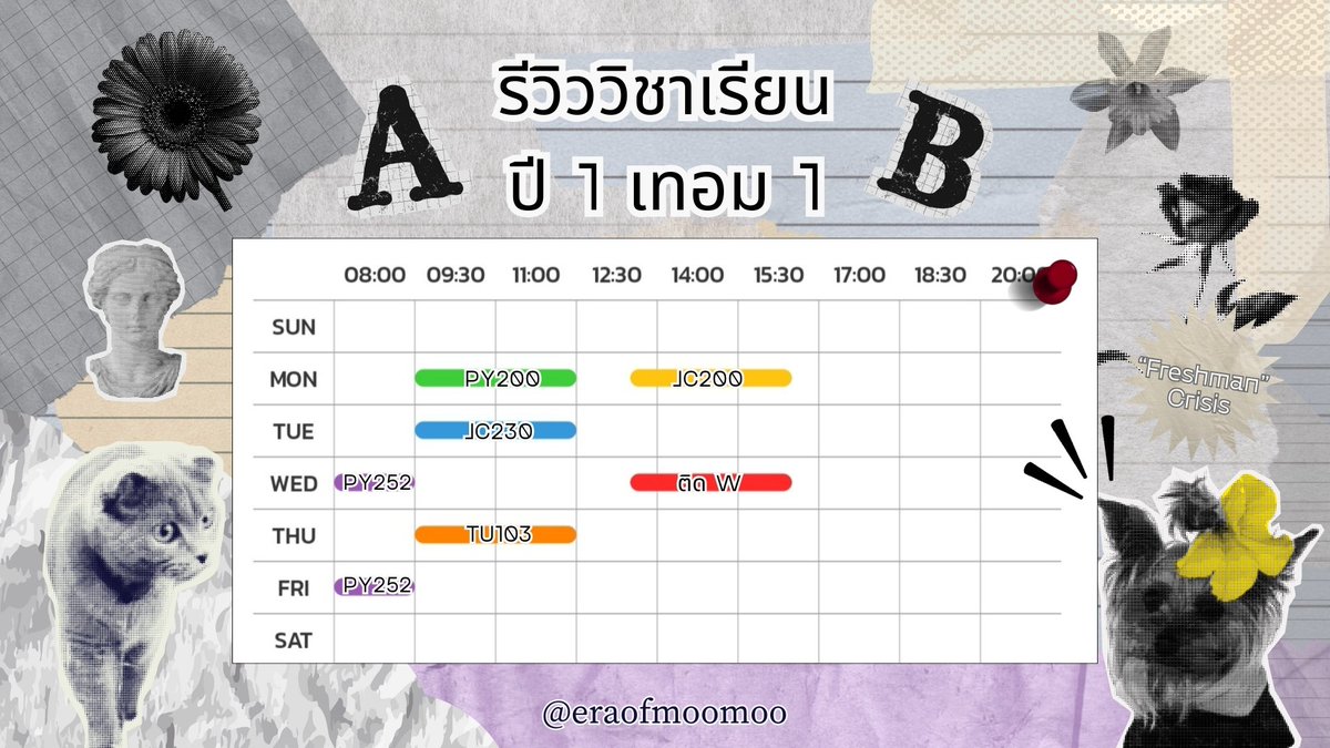 นย.อยากกินมาหาหน่อย tweet media