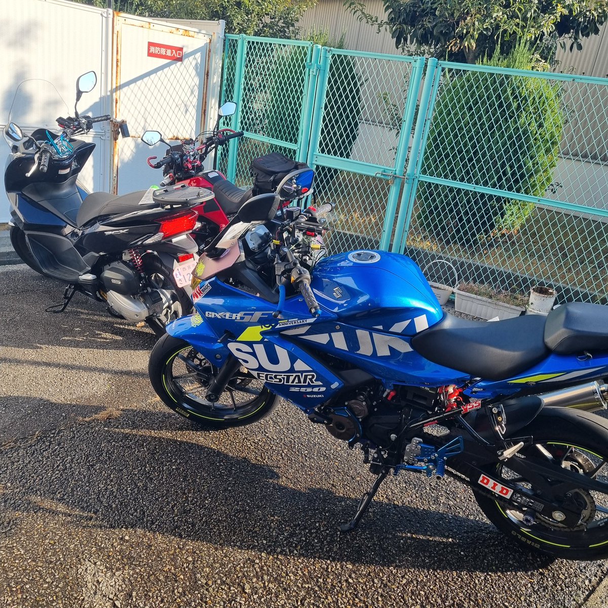 れっちん※腰痛ライダー☆@Ninja1000 '16- (@red205) / Posts / X