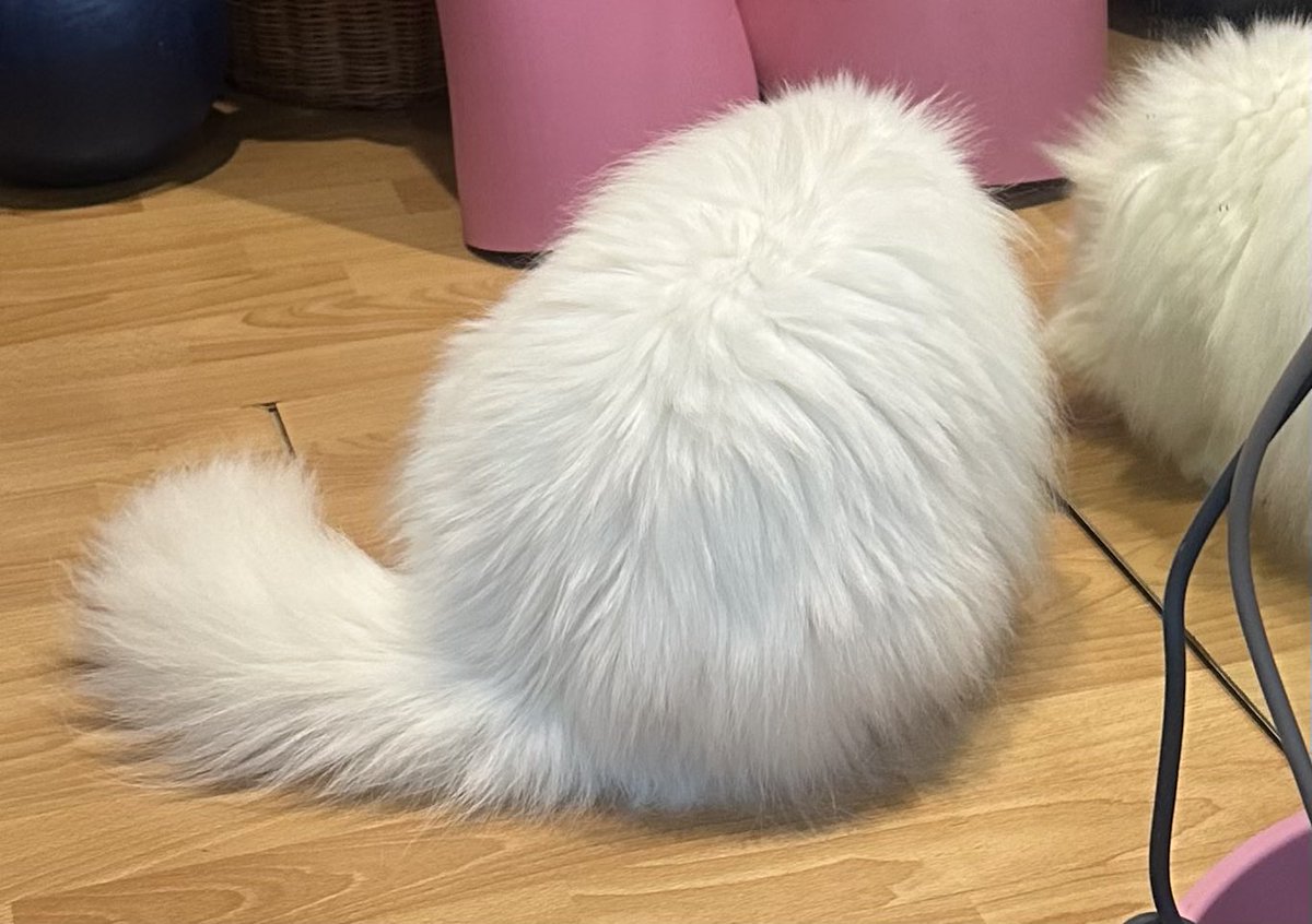 pspanacea's tweet image. 10คะแนน อันนี่เปนสิ่งมีชีวิตประเภทใด