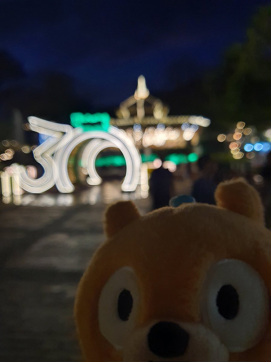 Daily Woff Migration ~○ tweet media