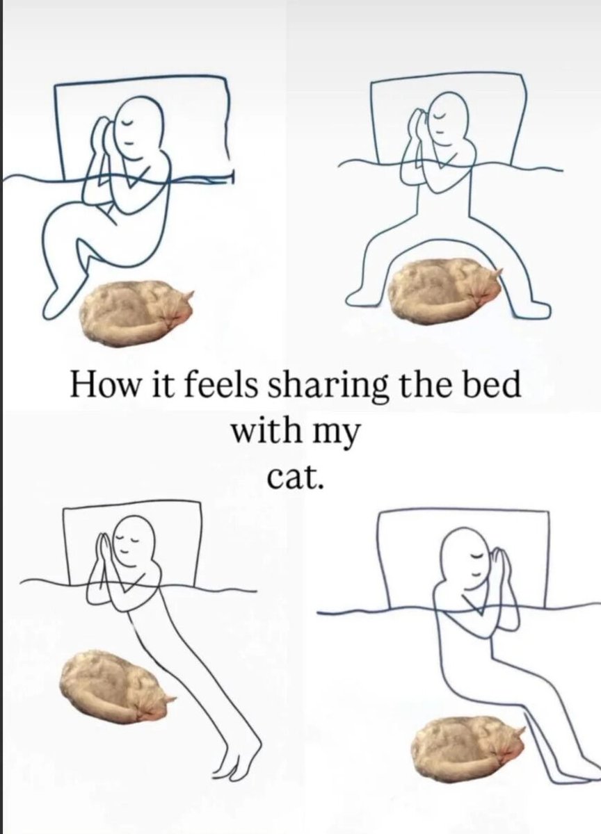 WholesomeMemes (@wholesomememe) on Twitter photo 