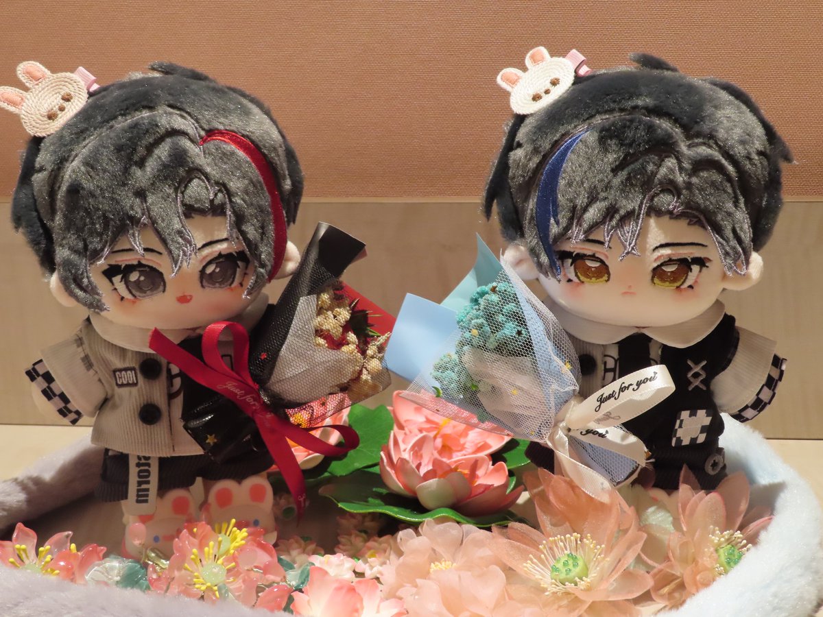 #魔道祖师 #MDZS #WangXian 
😭Save wangxian! We need 50 people to form a group 😭 Height is 20cm