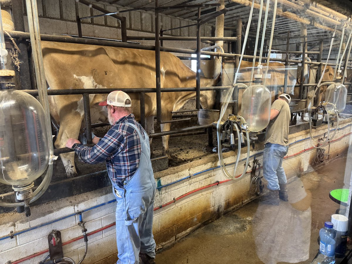 JohnHMerrill's tweet photo. This afternoon, Cindy & I had a great time in #PickensCounty where we visited #CircleJDairy in the #Zion community near #Gordo! #CircleJ milk is the best we have ever tasted! The #butterpecan ice cream made w/ #GoldenEagleSyrup is phenomenal! #All67 #ALPolitics #SweetGrownAlabama https://t.co/pEk0CRcMKm