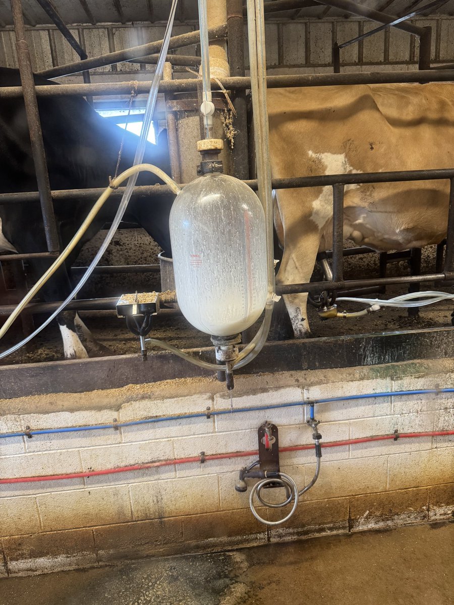 JohnHMerrill's tweet photo. This afternoon, Cindy & I had a great time in #PickensCounty where we visited #CircleJDairy in the #Zion community near #Gordo! #CircleJ milk is the best we have ever tasted! The #butterpecan ice cream made w/ #GoldenEagleSyrup is phenomenal! #All67 #ALPolitics #SweetGrownAlabama https://t.co/pEk0CRcMKm