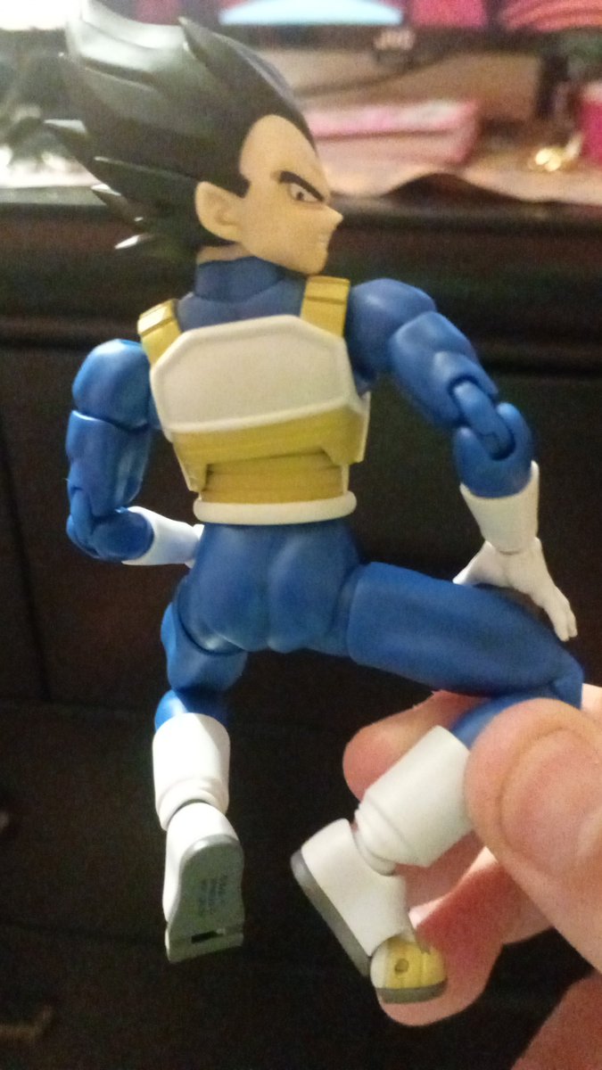 Pinche Vegeta (DAIMA) es hermoso