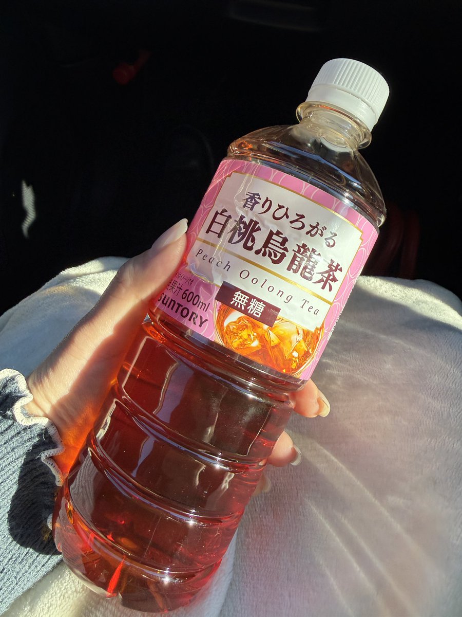 せんちゃん🐾 (@sen1043h) / Posts / X