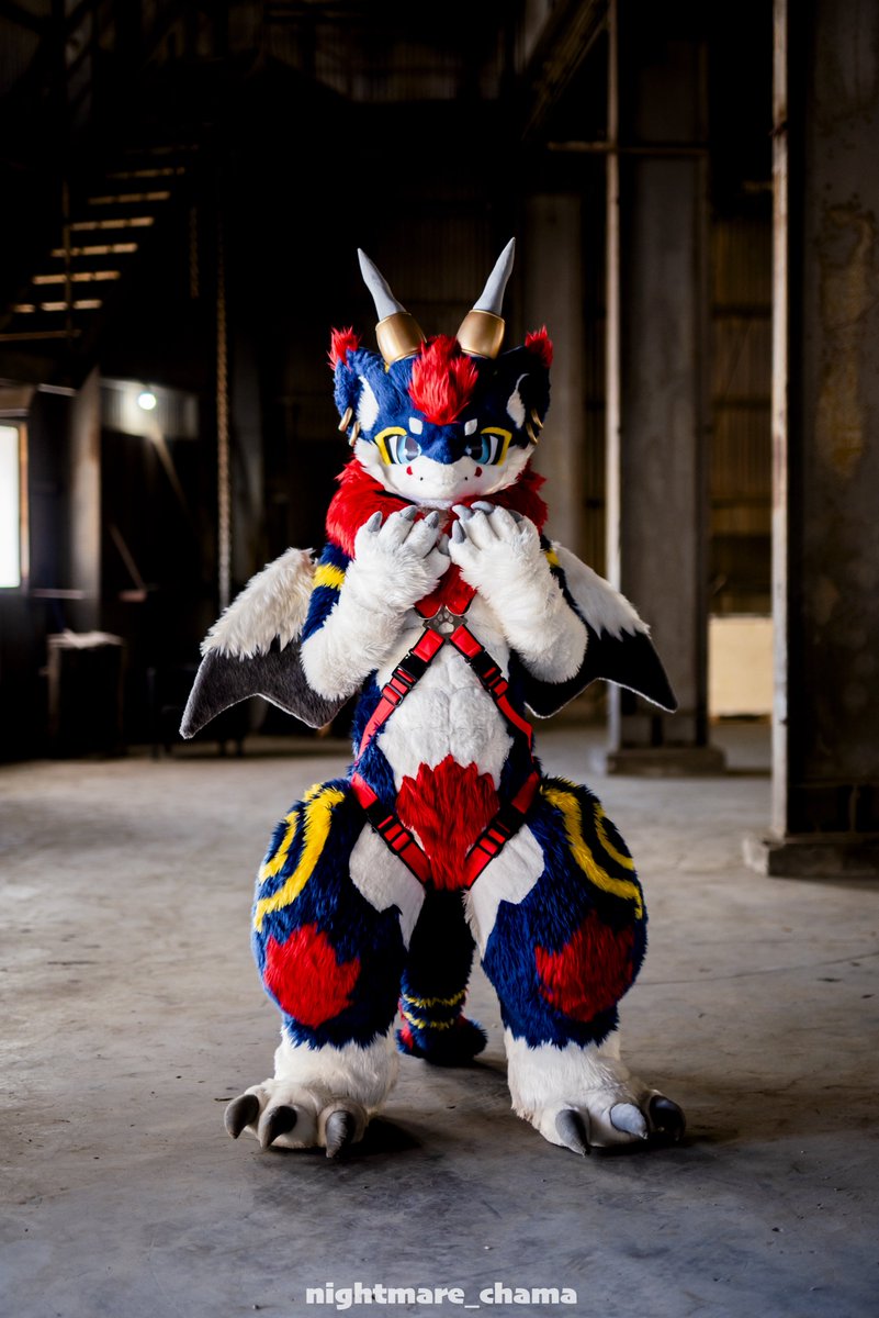 夜迦(Yaka) tweet media