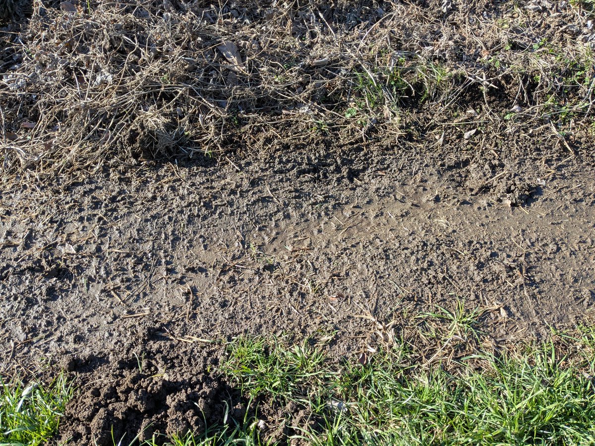 やまもんさませんよう ひとくち 焼きいもようかん（12本入り）｜商品紹介｜栗と厳選素材の