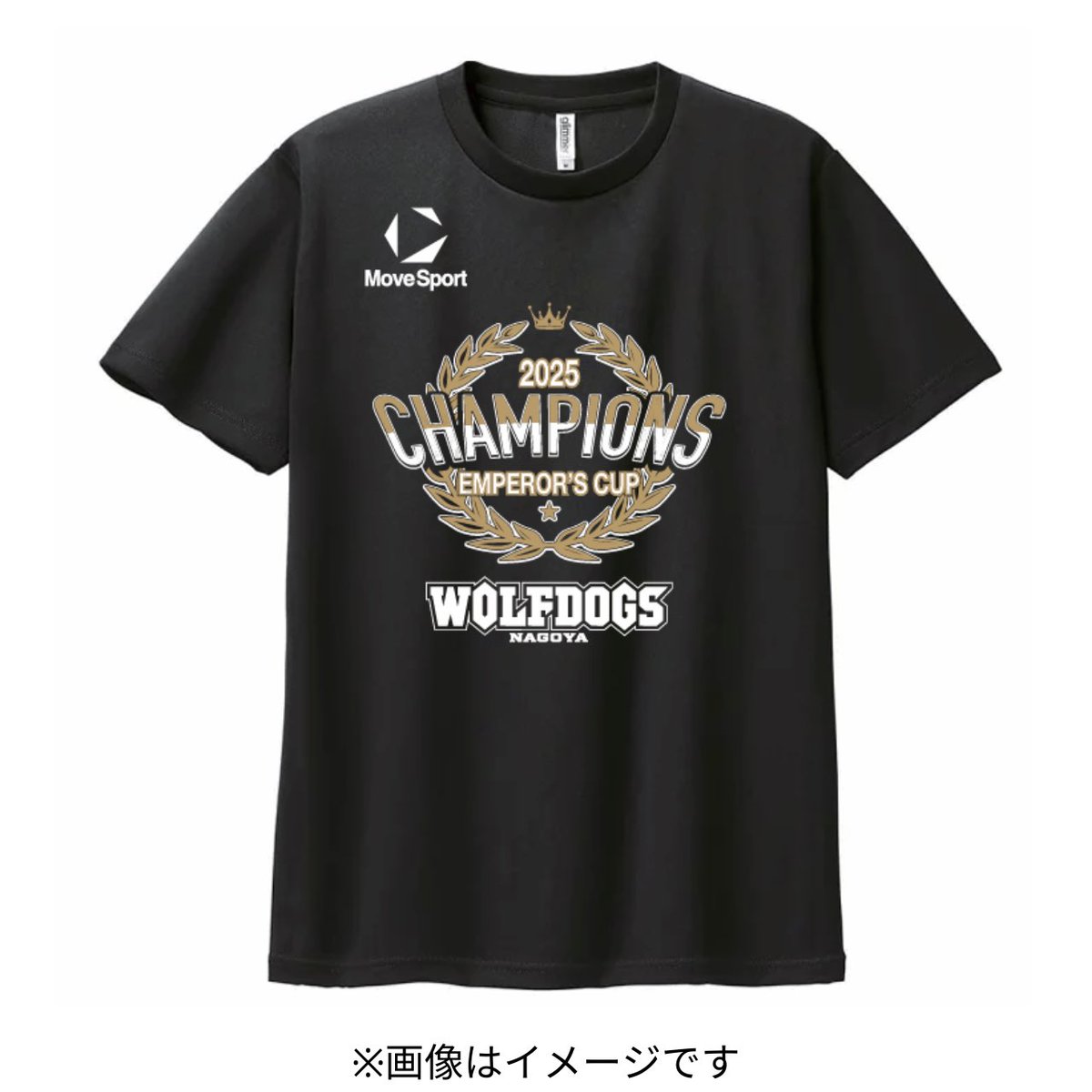 WOLFDOGS NAGOYA CUP 限定Tシャツ 🐺WOLFDOGS NEWS🐶 「令和7年度天皇杯・皇后杯JVA全日本バレーボール