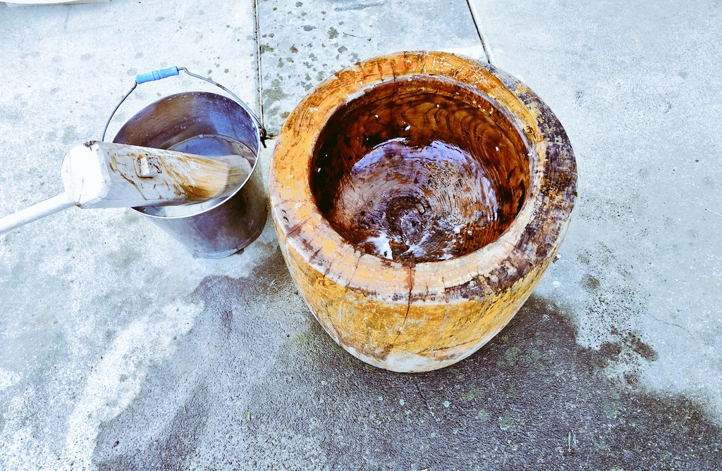 ジン@パンデモ tweet media