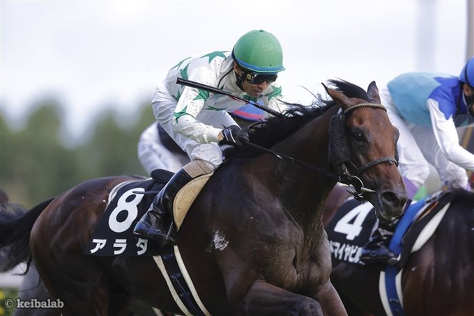 keibalab's tweet photo. 【ロイヤルファミリー馬券のゆくえ】
有馬記念、3連単1→14→？の現在のオッズ(人気順)
1→14→2 997.5倍
1→14→5 22789.4倍
1→14→4 30426.6倍
1→14→9 34627.4倍
1→14→3 37517.8倍
1→14→6 40971.6倍
#ザ・ロイヤルファミリー #有馬記念 
https://t.co/rZ2l5kHlYC https://t.co/0v6z6BuLBz