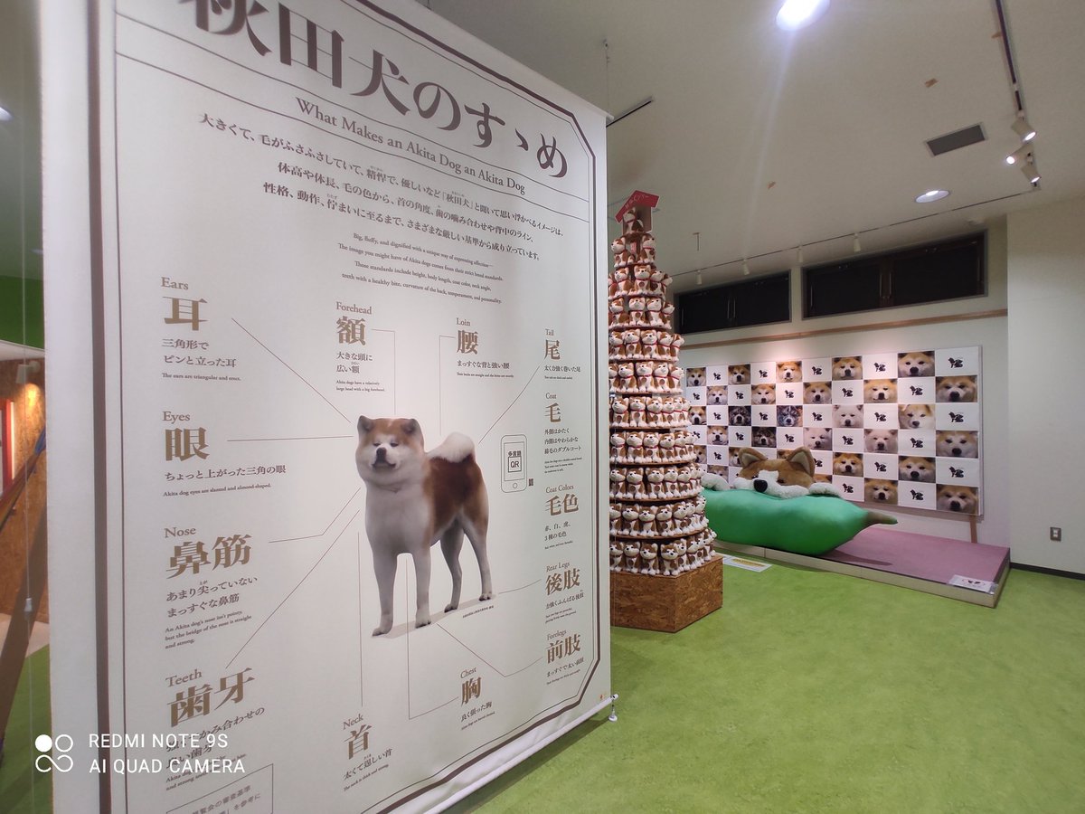 きんちゃん (@ginrinfighter) / Posts / X