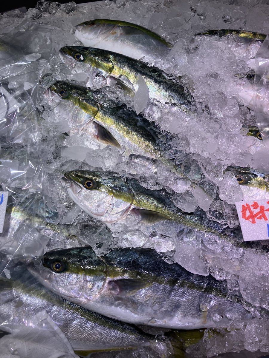 あるるんの海/海鮮レストランあるるんの海 (@arurunnoumi) / Posts / X