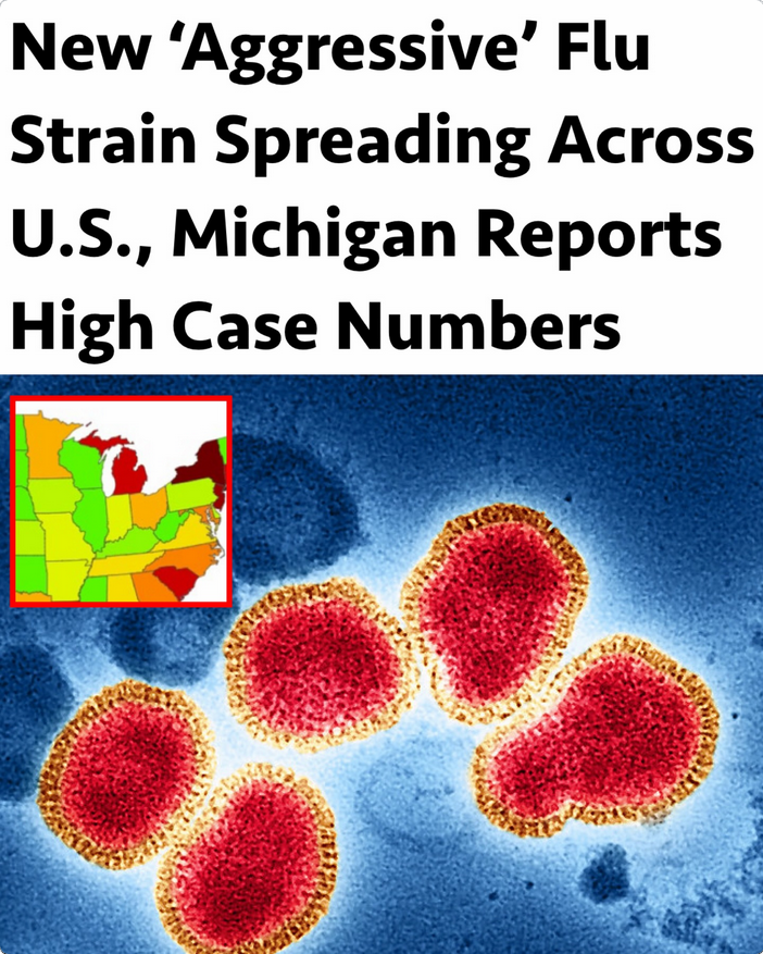 NULOOKREFINISH's tweet photo. Here it goes just in time for 2026 do not fall for this lie again #RFB #plandemic2 #agenda2030
Health officials are closely monitoring a surge in flu cases across Metro Detroit and Michigan, driven by what experts say is a more aggressive strain of influenza . https://t.co/R8XW4vsfff