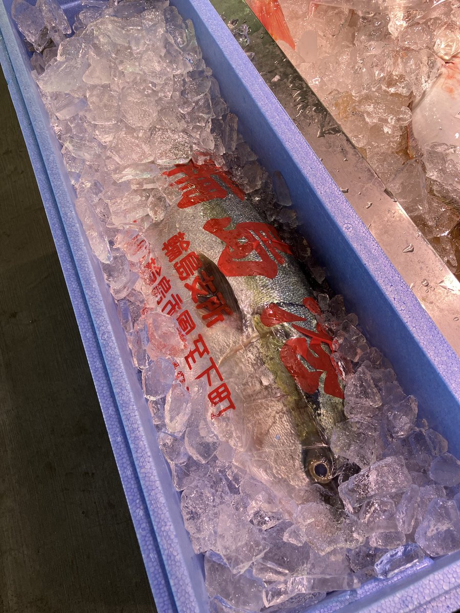 あるるんの海/海鮮レストランあるるんの海 (@arurunnoumi) / Posts / X