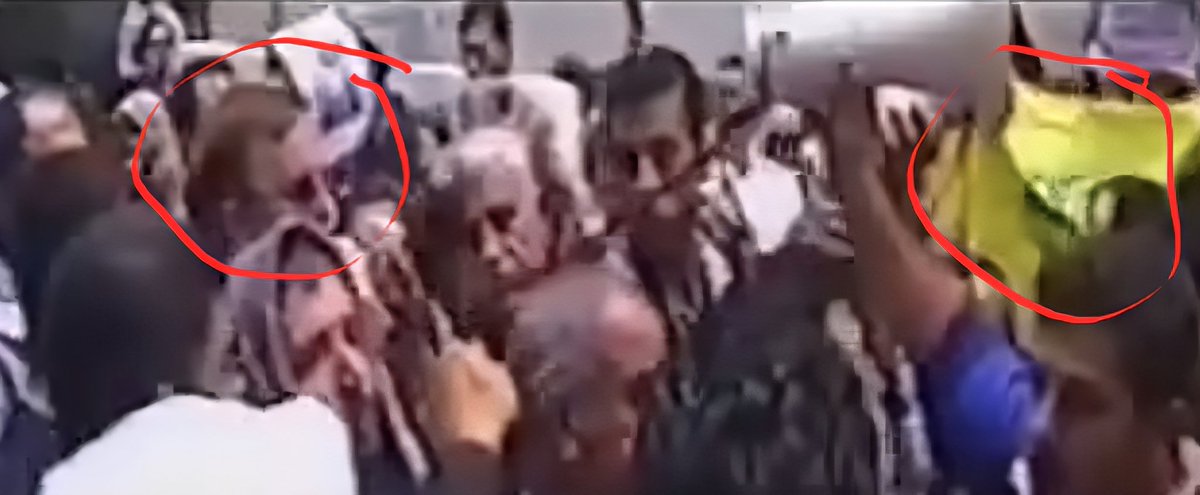 This is <a href="/AlboMP/">Anthony Albanese</a> attending a pro Palestine rally with terrorist sympathiser in attendance and speaking at it with the Hezbollah flag beside him absolute disgrace to call him our Prime Minister #auspol