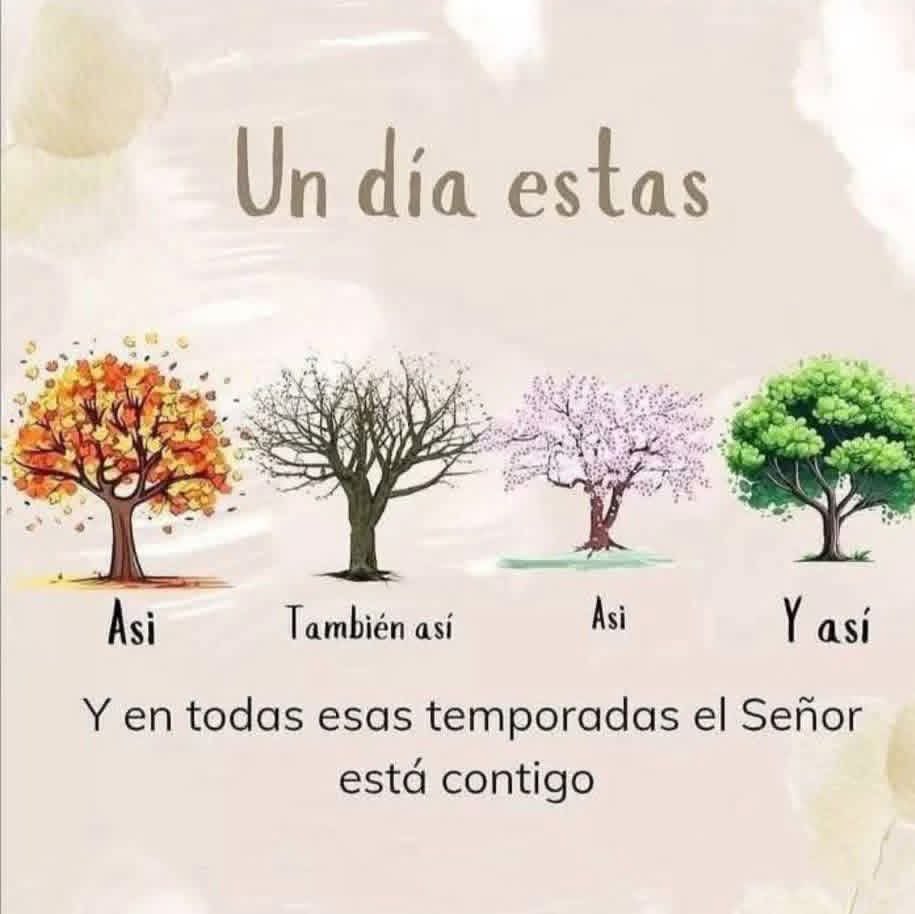 BeaMerc42046583's tweet image. 