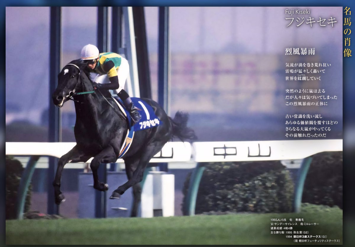1994.12.11 第46回 朝日杯3歳S優勝 フジキセキ #名馬の肖像 #烈風暴雨