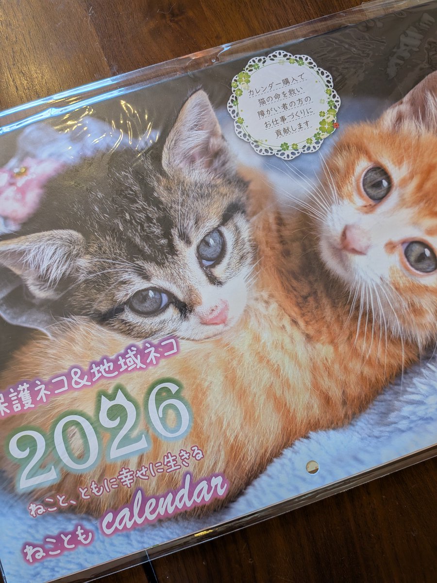 今年も「ねこともカレンダー」購入しました！すべての生き物が今より