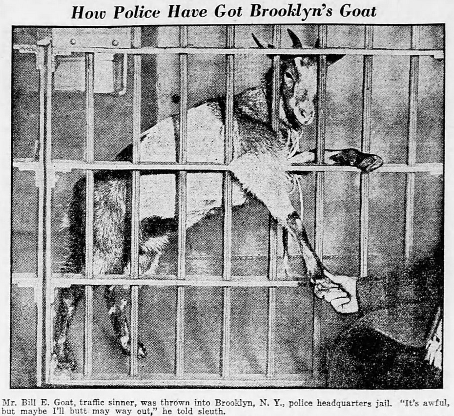 Yesterday's Print tweet media