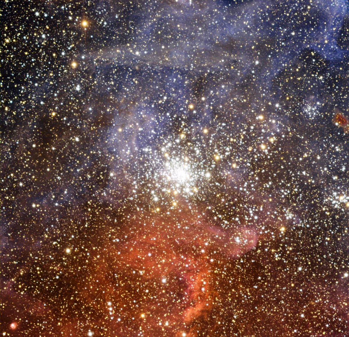 The brilliant star cluster NGC 2100 resides in the Large Magellanic Cloud, a small satellite galaxy of the Milky Way.

Near the right edge of the image, just below centre, lies the smaller cluster NGC 2092.

(Credit: ESO)