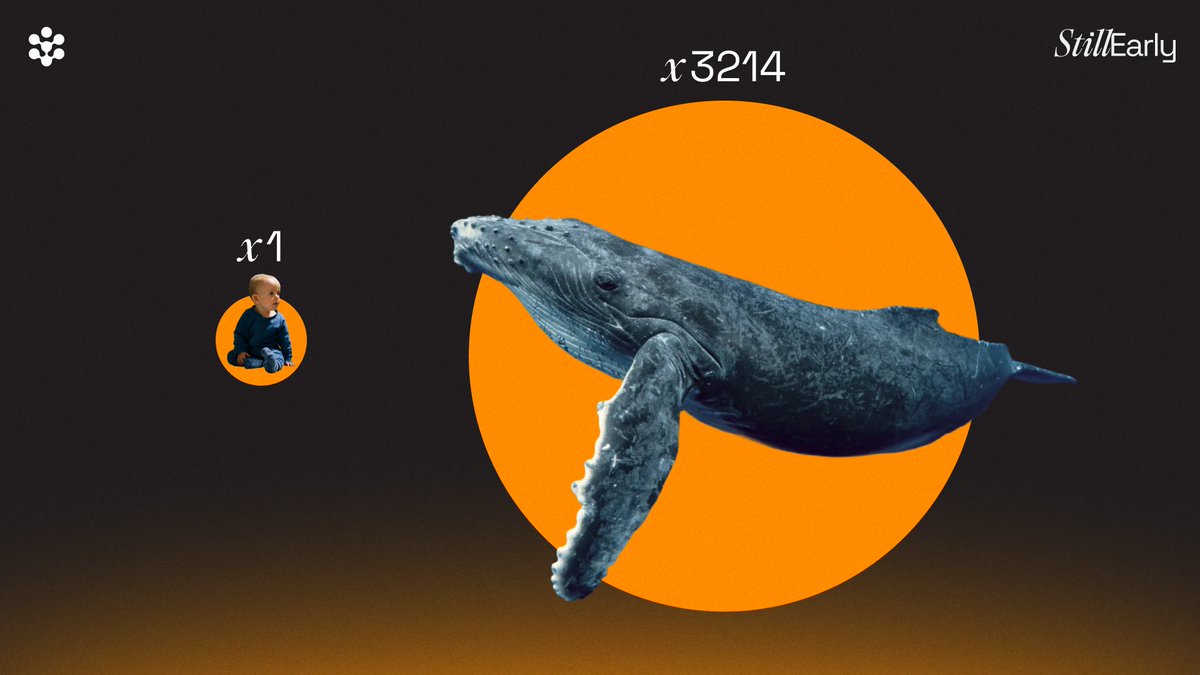 放大到更宏观的尺度：

BTCFi 的总市值大约 ~$560M
比特币的总市值大约 ~$1.8T

这基本就是“新生儿”和“座头鲸”之间的体量差。
我们还有巨大的增长空间。🐋