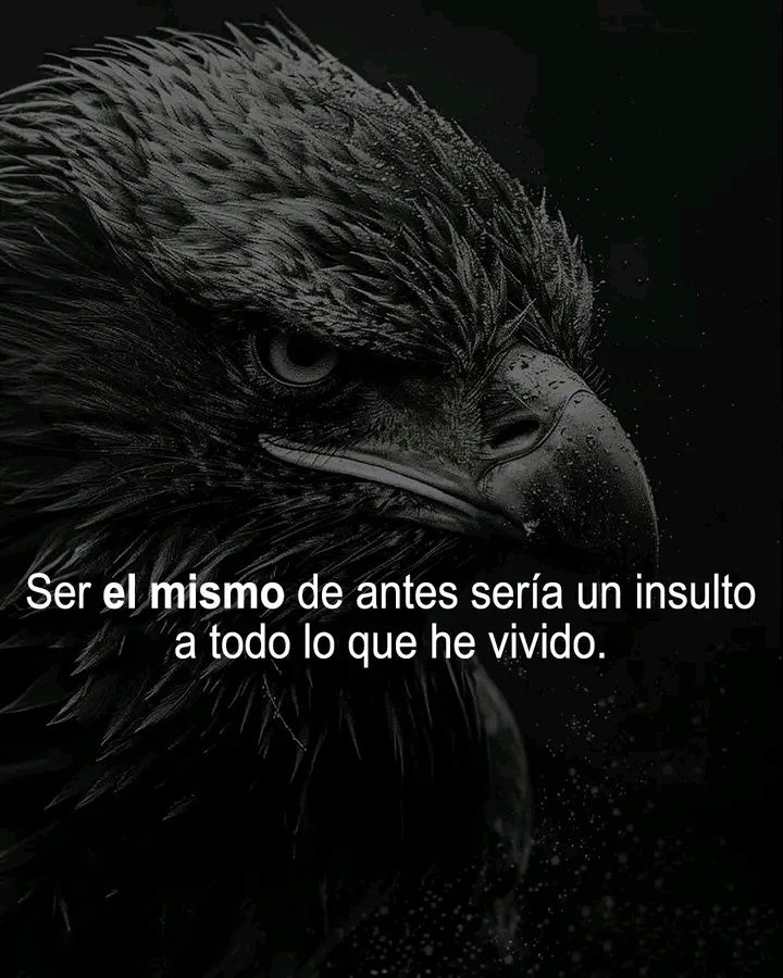 Hombre Imparable (@hombreimparab1e) on Twitter photo 