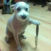 Silvanagh 🧸🔺 tweet media