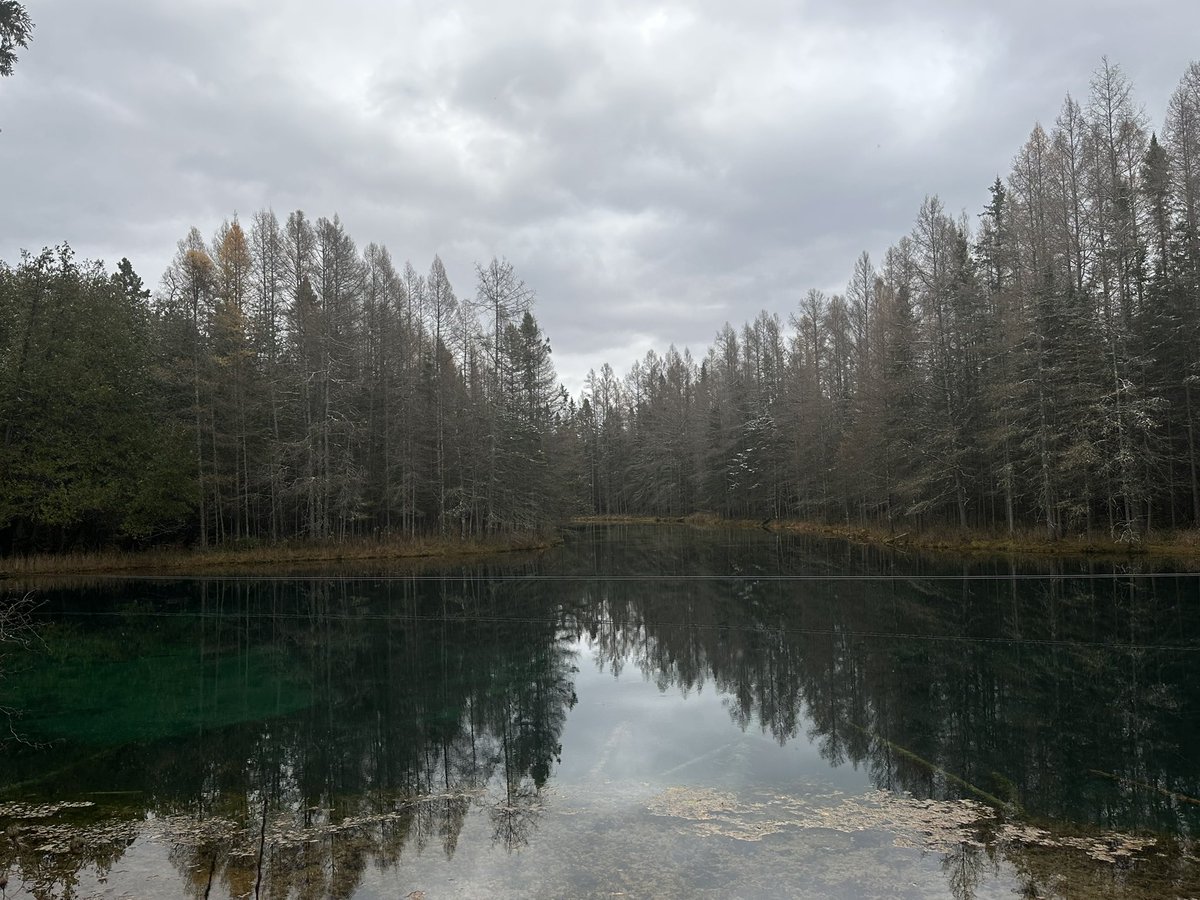frootloopts's tweet photo. Up North https://t.co/SKAKzb0wSJ