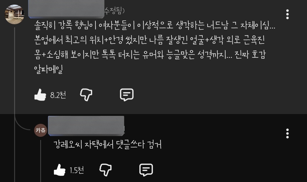 강레오씨 자택에서 댓글쓰다 검거