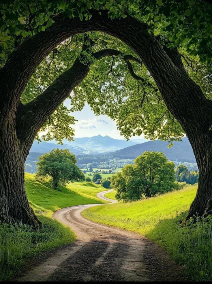 Amazing views 😍 (@naturaleye78321) on Twitter photo 