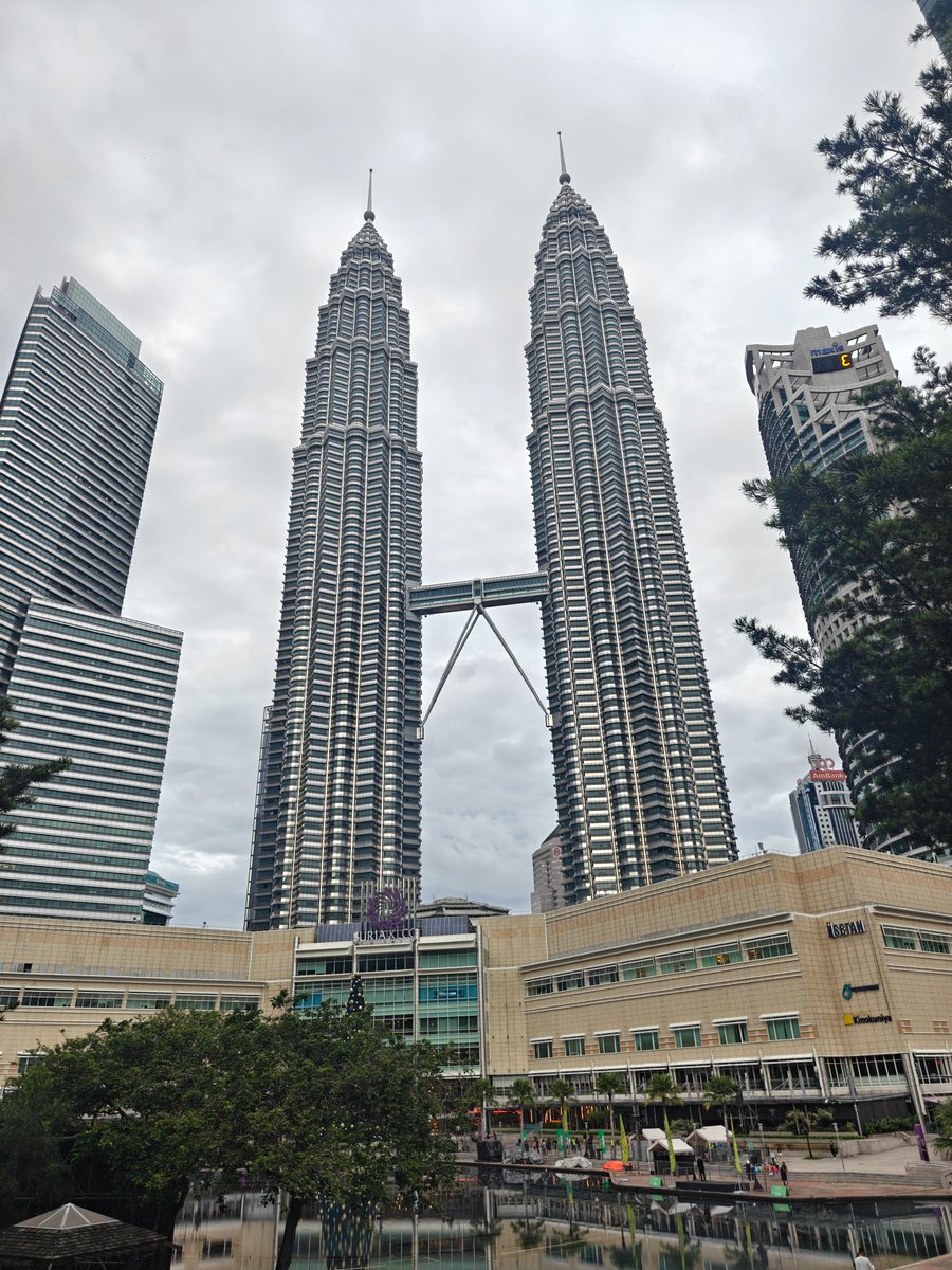 chloexyyy tweet media