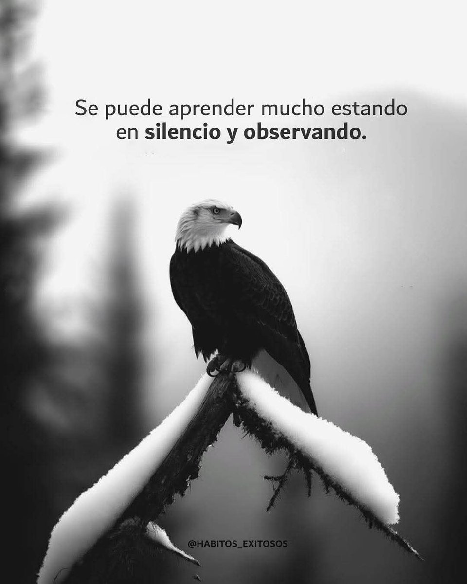 Hombre Imparable (@hombreimparab1e) on Twitter photo 