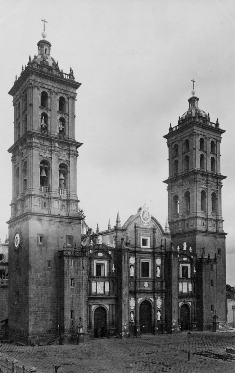 JOSEPH KEL tweet media