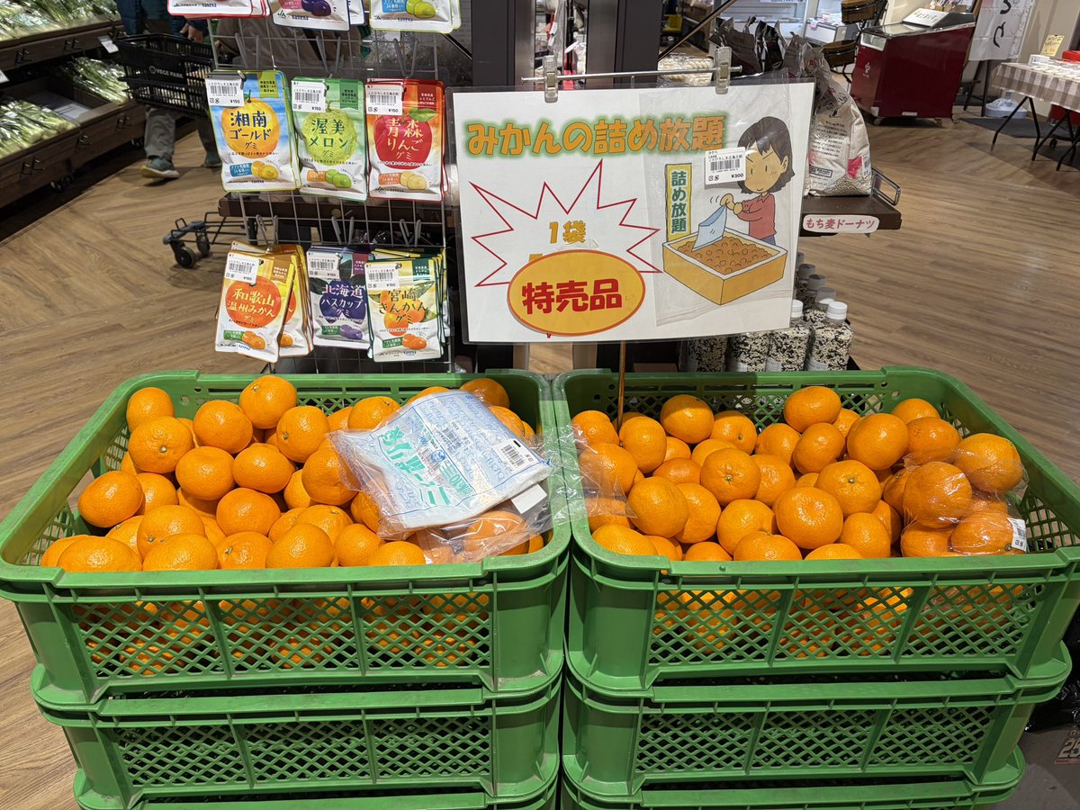 みかん詰め放題開催中🍊 無くなり次第終了です。たくさん詰めて持って