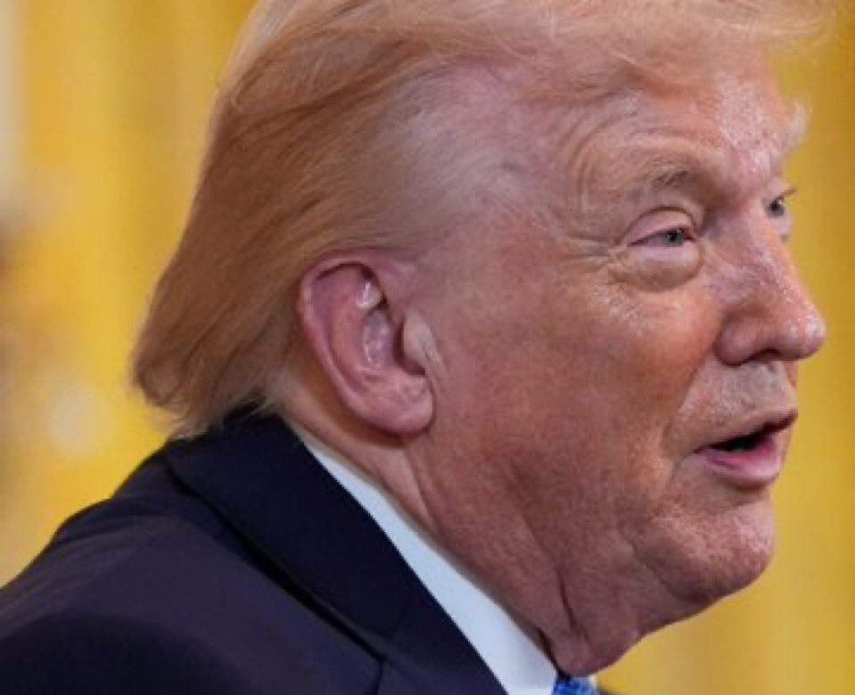 Markfry809's tweet image. The Epstein Files are not a hoax you sick fuck. 

Let me tell you what is. 

your charade of a presidency