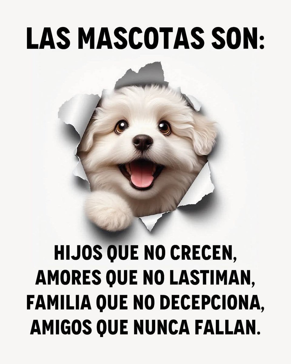 Sabueson's tweet image. 