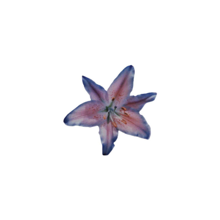 SlCARl0's tweet photo. ⠀⠀⠀

⠀⠀⠀* ⠀⠀𝐈 𝐌𝐈𝐒𝐒 𝐓𝐇𝐄 𝐊𝐈𝐒𝐒 𝐎𝐅 ⠀⠀⠀⠀⠀𝐓𝐑𝐄𝐀𝐂𝐇𝐄𝐑𝐘.
⠀⠀⠀ https://t.co/TAMeWzVjXH
