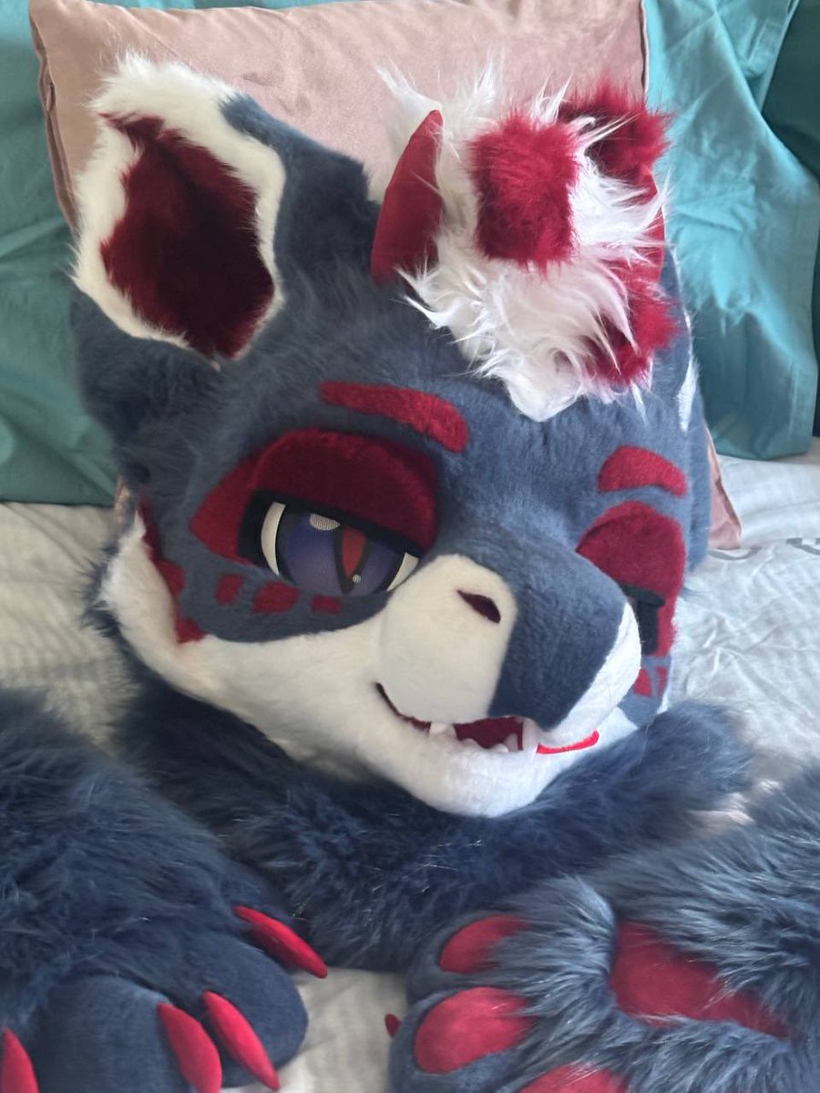 AvroDerg's tweet image. The look I give when I want you in bed with me 👀😏~