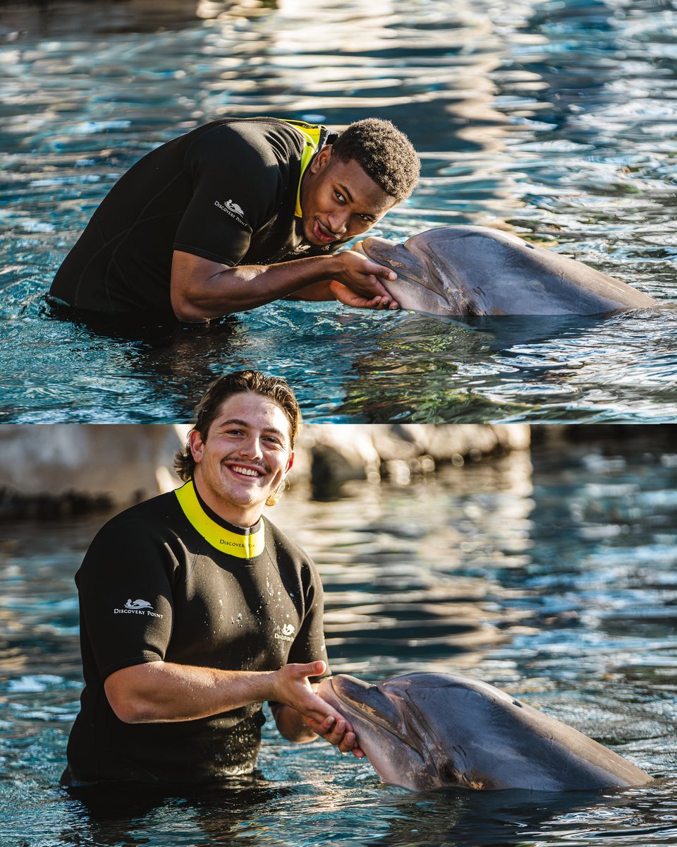 USC Football ✌️ tweet media