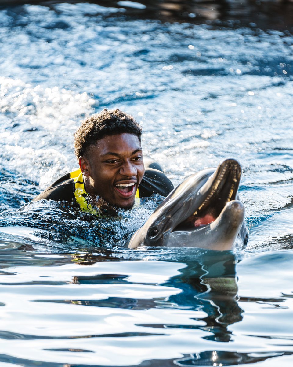 USC Football ✌️ tweet media