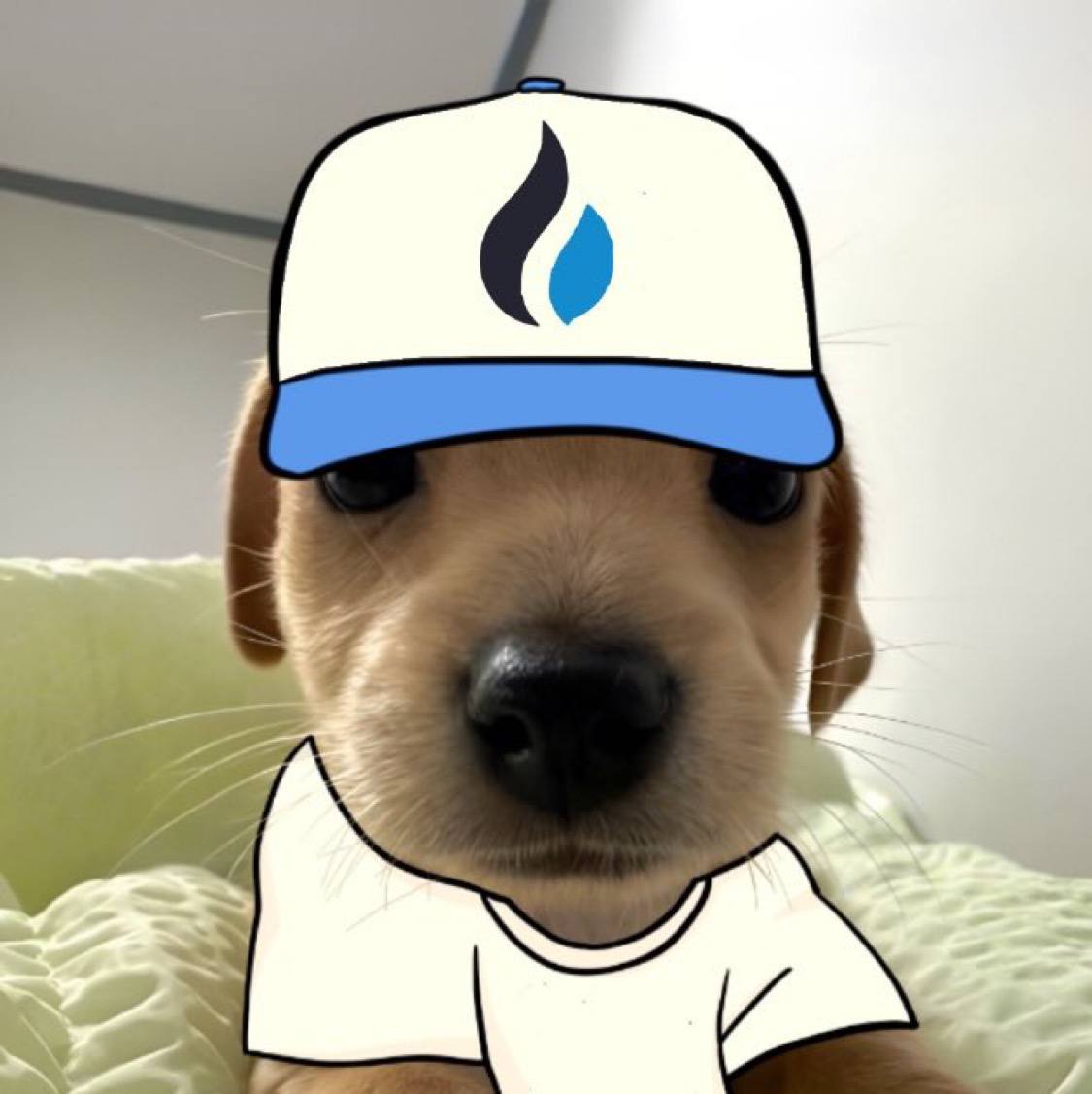 newbillyv2's tweet photo. GM @HTX_Global 

$BILLYV2 https://t.co/zFMlF2TY9K