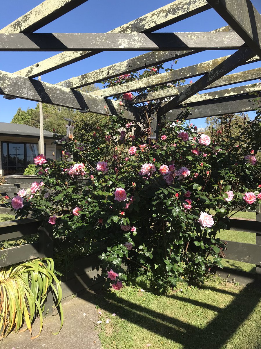 RLightband's tweet photo. @OJoelsen Good afternoon from a summer sun Sunday in the Rangitikei region of New Zealand 27 degrees and hot sunshine https://t.co/6TOZdG2gUc