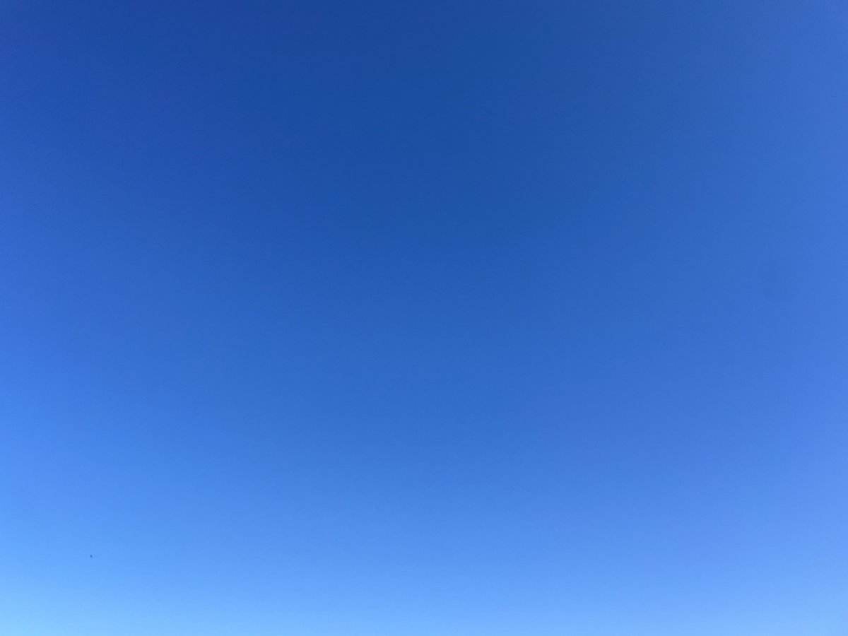 ジュンイチ【オルタ】 tweet media