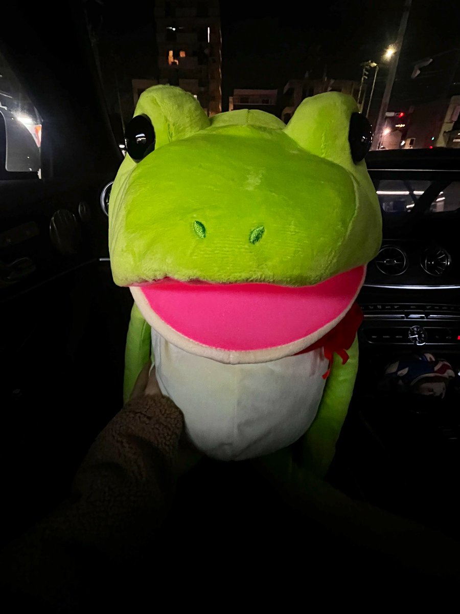 theRaid0000's tweet photo. お友達の助手席で可愛がってるカエル
誘拐したいくらい安心感あったんだけど🤦‍♀️ https://t.co/vlwiRUCmLd
