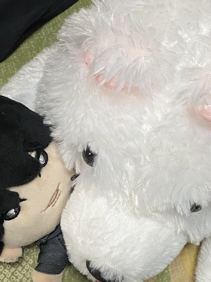 suo8582's tweet photo. ぬい🐶 https://t.co/FKuPaSqSid