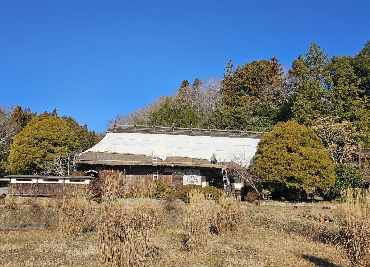 GerdKnapper's tweet photo. #茅葺き屋根 直せないので ビニールシート掛けてます 😢 #古民家 #日本伝統文化 を個人で守るのは #無理 
#助けてください 
#太郎坂屋敷カフェ
#ゲルトクナッパ－ギャラリー
#日本 #japan https://t.co/wjzoZGU59k